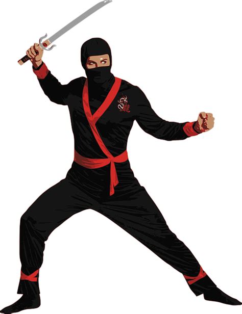 Ninja Png Transparent Image Download Size 554x720px