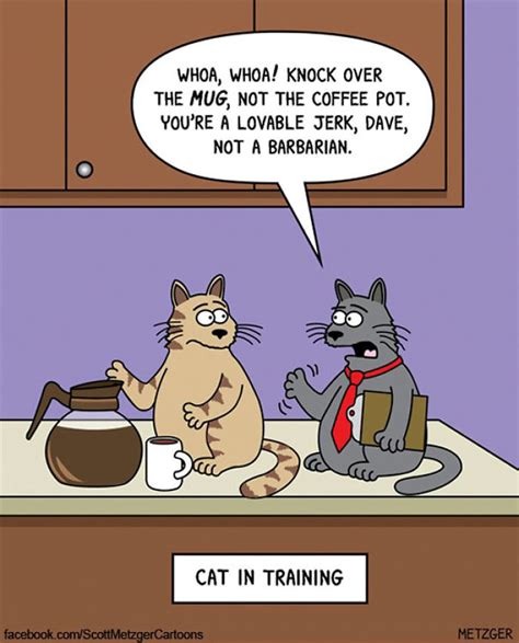 Cat Funny Cartoon