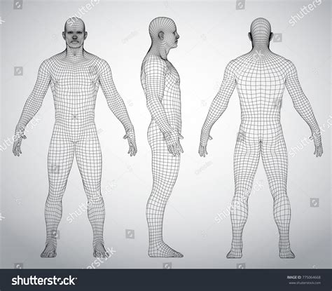Wire Frame Human Full Body In Virtual Reality Medical Blue Print