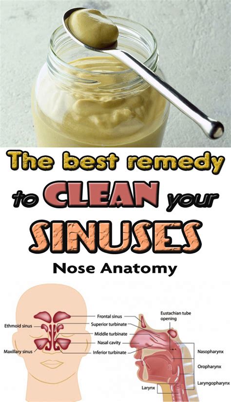 the best remedy to clean your sinuses healthadvicetips sinusitis