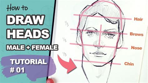 THIS REALLY WORKS Drawing Heads With The Loomis Method Tutorial 1