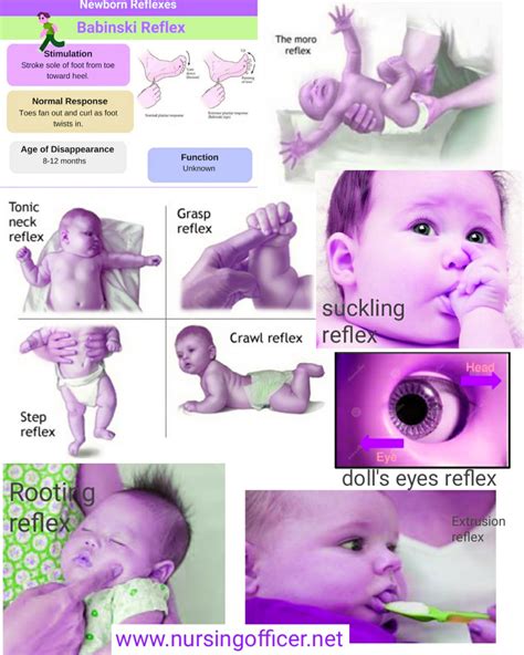 newborn reflexes chart