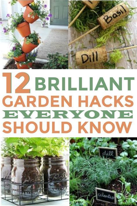 12 brilliant garden hacks everyone should know · homebody garden hacks diy gardening tips