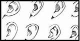 Draw Ears Drawing Lessons Human Faces Ear Face Step sketch template