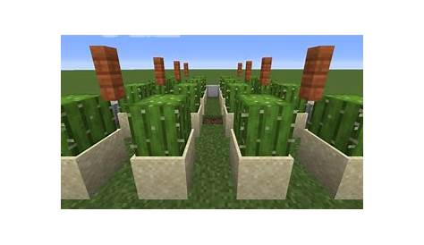 How Fast Do Cactus Grow In Minecraft