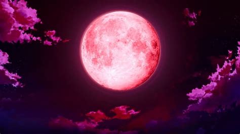 Best Anime Blood Moon In 2023 Don T Miss Out Website Pinerest