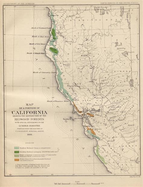 Coast Redwood Range And Biogeography Redwoods Northern