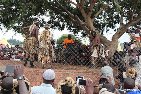 Ncwala Ceremony Held In Chipata Zambia Xinhua Englishnewscn