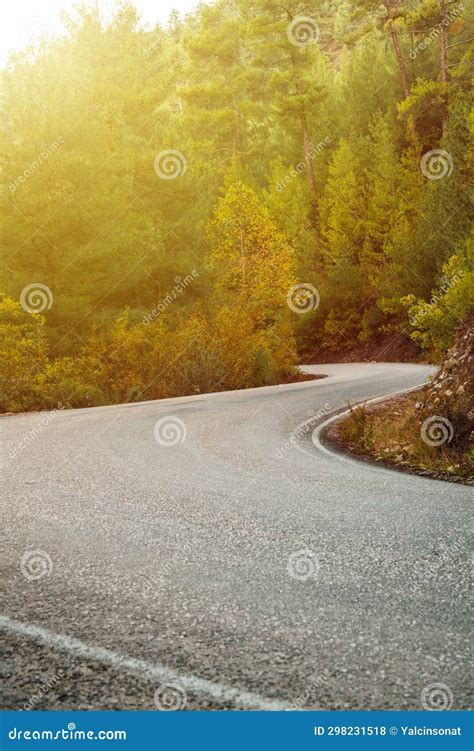 Asphalt Road Through Autumn Forest At Sunrise Stock Photo Image Of