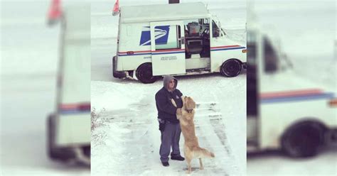 This opens in a new window. Dog Waits Nearly Everyday To See Mailman And Give Him A ...