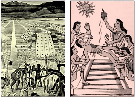 Aztecs Should Historians Emphasize Agriculture Or Human Sacrifice