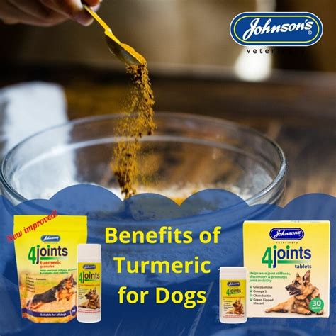 Is Turmeric Good For Dogs Benefits And Uses Of Turmeric In Dog Products