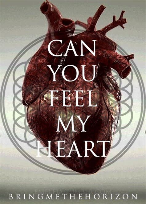 Can You Feel My Heart Can You Feel My Heart How Are You Feeling