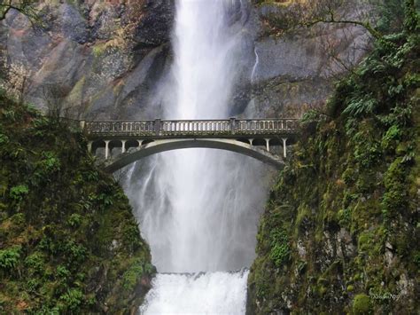 Fall Bridge Multnomah Falls In Portland Oregon Kendra Flickr