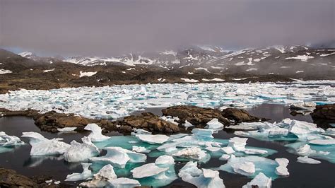 Arctic Tundra 1080p 2k 4k 5k Hd Wallpapers Free Download Wallpaper