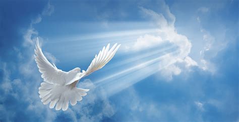 Representing The Holy Spirit Dove