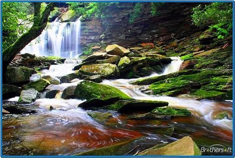 Screensaver Waterfall With Sound Download Free