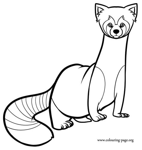 Avatar the legend of korra coloring pages. The Legend of Korra - Pabu coloring page