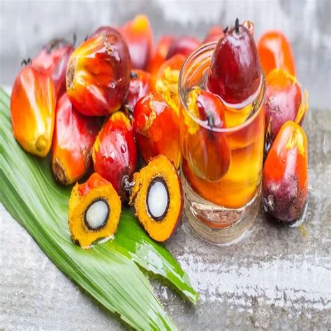 Natural Organic Pure Palm Oil High Quality Cheap Price Purity