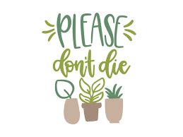 free plant svg - Google Search in 2021 | Flower svg files, Svg, Plant mom