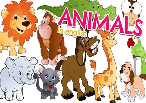 Animales En Inglés Lista Explicación Categorías Imágenes Ingles