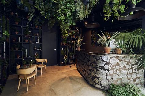 Le Jardin Secret Patio, Interior Design, Outdoor Decor, Plants, Gand
