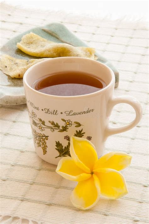 Morning Cup Of Tea Stock Photo Image Of Flavor Aromatic 26468168