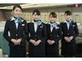 Sdde Uniform Underwear Fully Nude Full Service Hospitality Crouching Pussy Airlines A