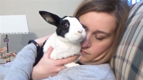 hugging my rabbit for too long youtube