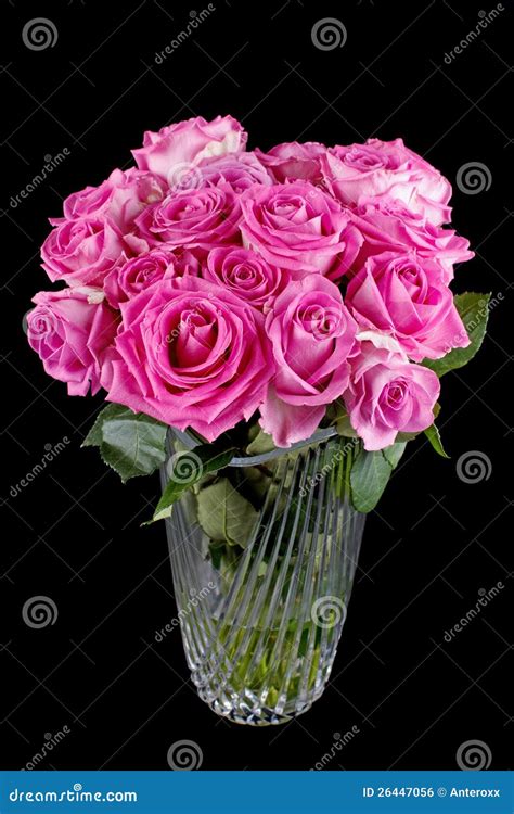 Rose Bouquet Stock Photo Image Of Beautiful Vivid Flower 26447056