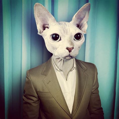 Clinton Stonich Designs Cat Suit