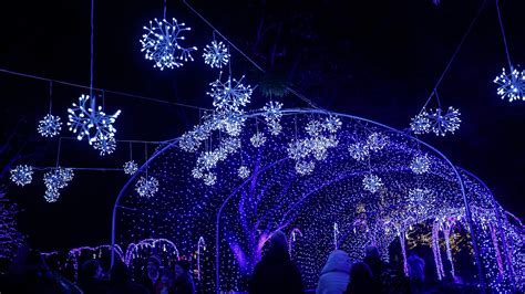 Newfields Winterlights 2019 How To Get Tickets And What To Know