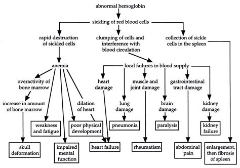 Sickle Cell Anemia Example Of A “beneficial Mutation” Creation