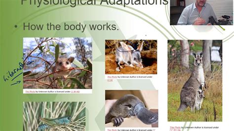 Bd6 Physiological Adaptations Youtube