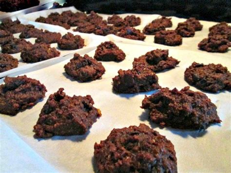 Dense and chewy, much like a granola bar. High Fiber Protein Cookies Recipe | Protein cookie recipe, Cookie recipes, Protein cookies