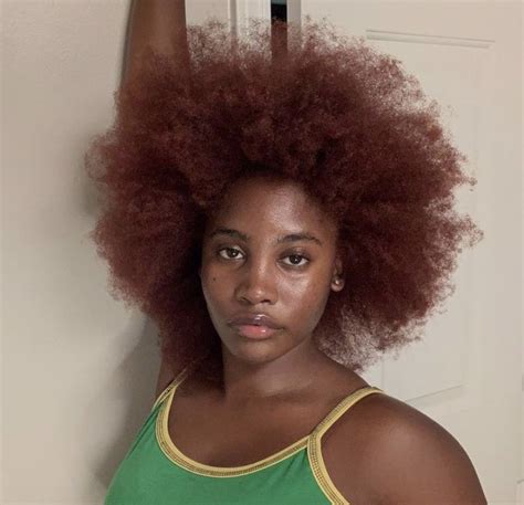 pin by elizabeth sarumi🇳🇬 on natural hair ginger hair color dyed natural hair pretty hair color