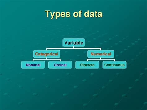 Different Types Of Data Types Data Types In Python Docodehere Riset