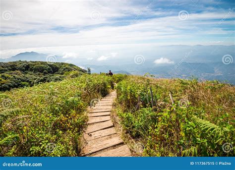 Beautiful Mountain Landscape With Blue Sky In Northern Thailand