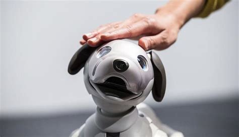 Robots Aibo El Perro Con Inteligencia Artificial De Casi Us 2000