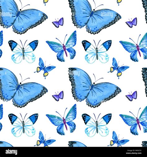 Watercolor Painted Butterflies Hi Res Stock Photography And Images Alamy