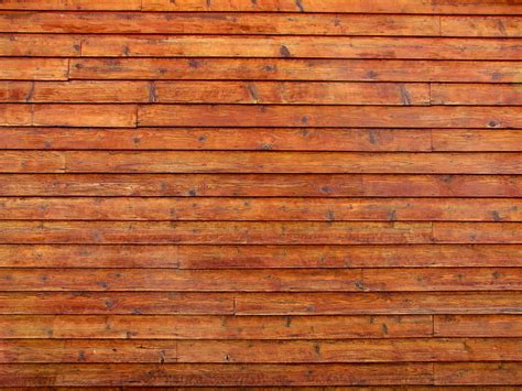Timber Wall Texture