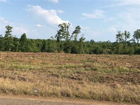 10 acres in Sabine Parish, Louisiana