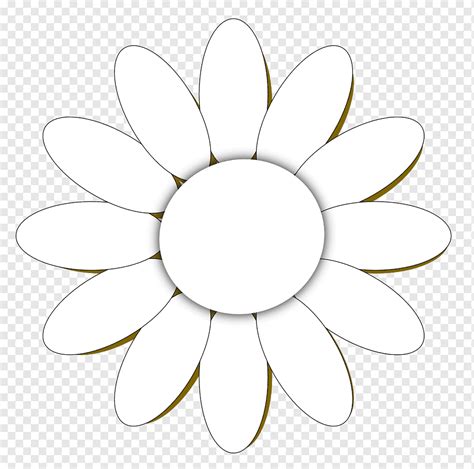 common daisy flower simple daisy s white symmetry flower png pngwing