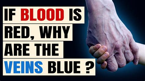 Why Are Veins Blue In Color When The Blood Is Red Intriguing