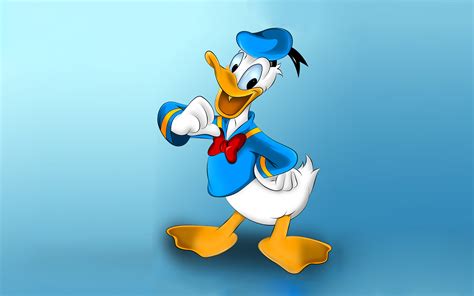 11 Walt Disney Animal Donald Duck Cartoon Wallpaper