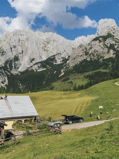 Auf Der Losegg Alm Da Gibts Koa Sünd Salzburgerland Magazin