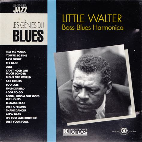 Rock N Roll Is Here To Stay Little Walter My Babe