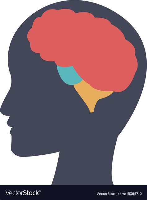 Silhouette Human Head Man With Brain Thinking Vector Image