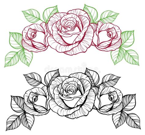 Rose Flower Vignette Stock Vector Illustration Of Black