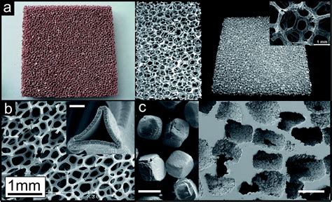 controlled fabrication  porous metals   nanometer